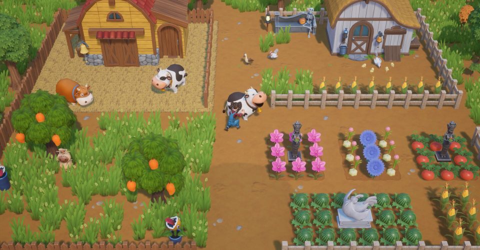 coral island/Coral Island