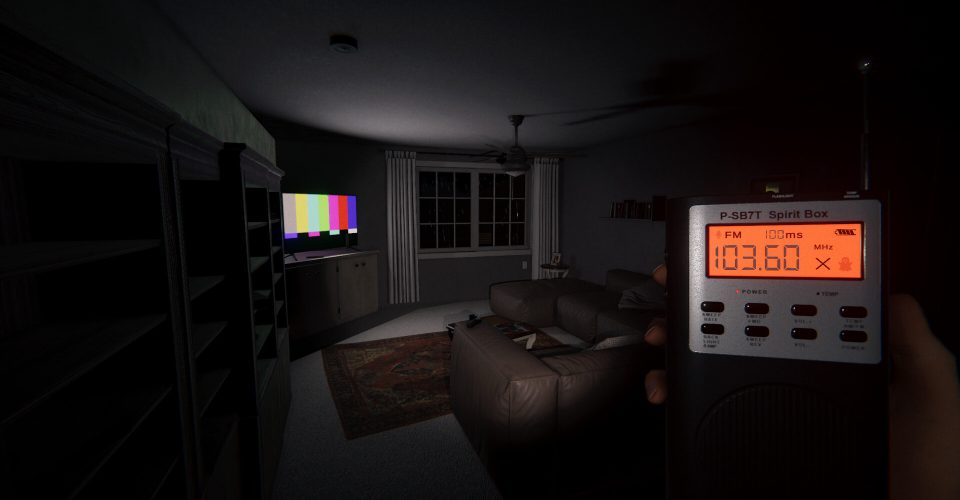 agoraphobia/Phasmophobia/Support network connection