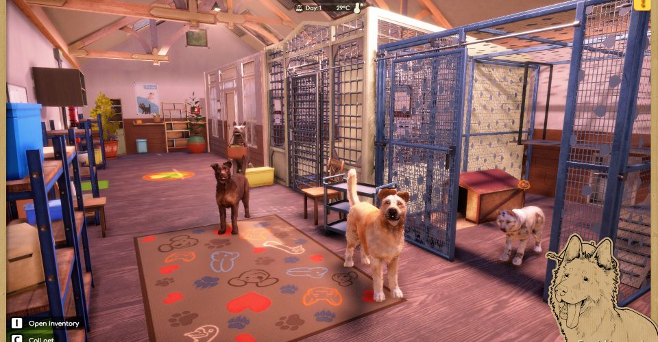 animal shelter2/Animal Shelter 2