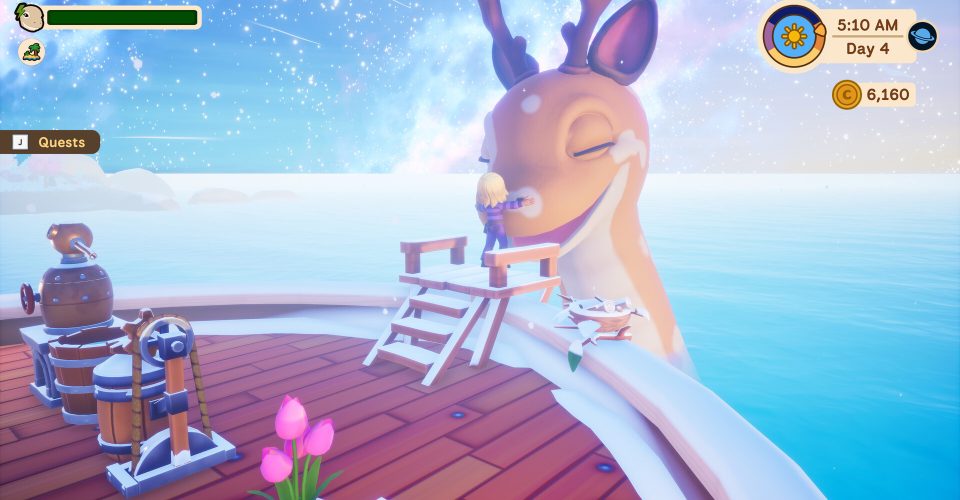 Treasure Hunt Bay/Collector’s Cove