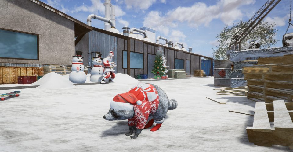 Raccoons Wanted/Wanted Raccoon