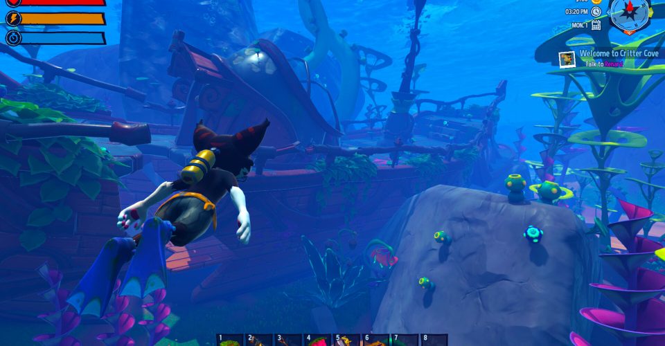 Animal Cove/Critter Cove