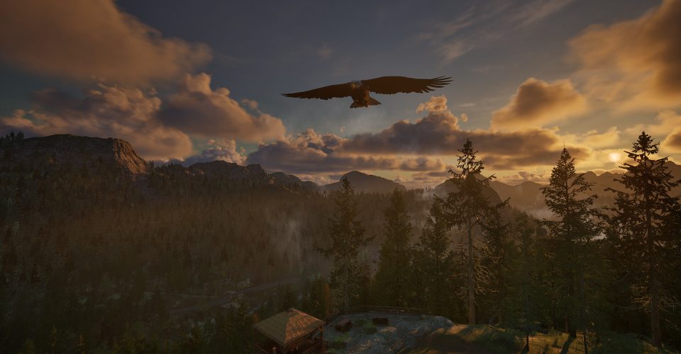 The Ranger’s Way：National Park Simulator/Ranger’s Path: National Park Simulator