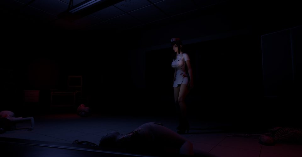 Ruined nurses/Ruined Nurse