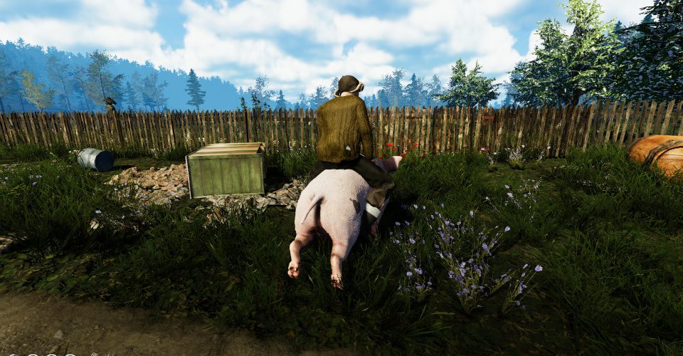 The life of a farmer/Farmer’s Life