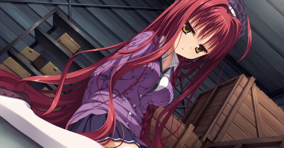 Vampires are up to no good.！/DRACU-RIOT!