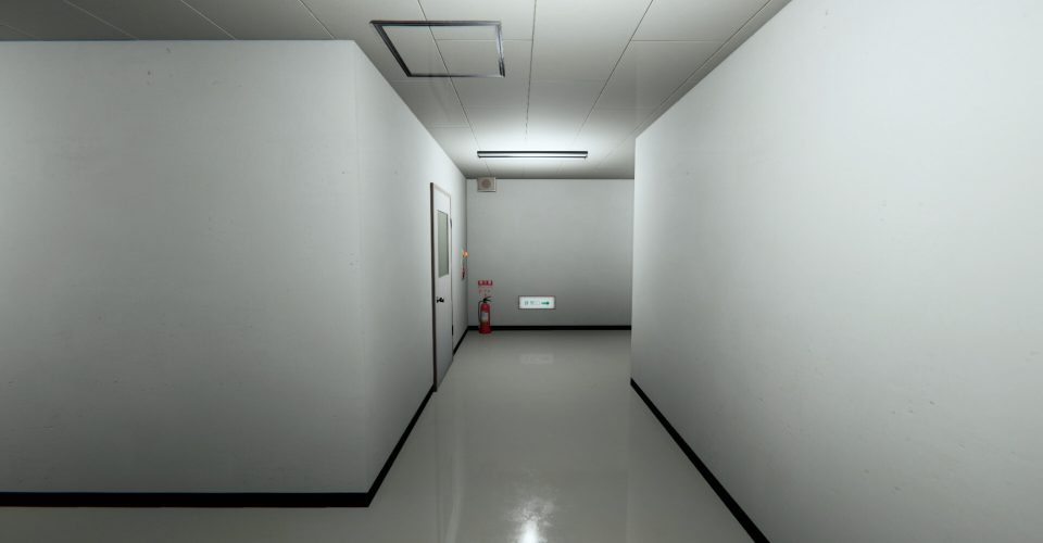 nightly cleaning/The Night Cleaner