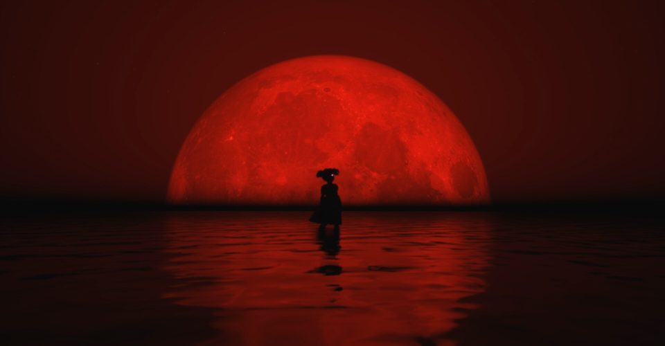 vector (epidemiology)/Unwilling Host