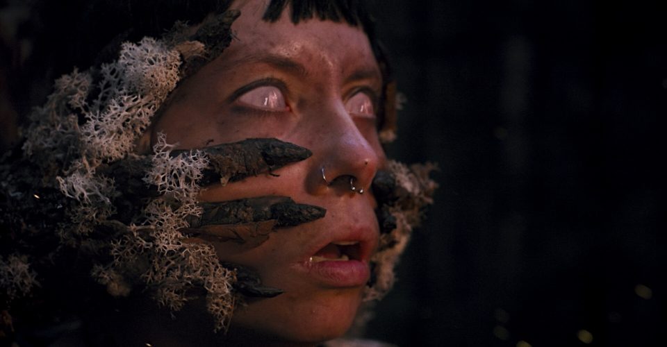 deep in the woods/Heart of the Forest