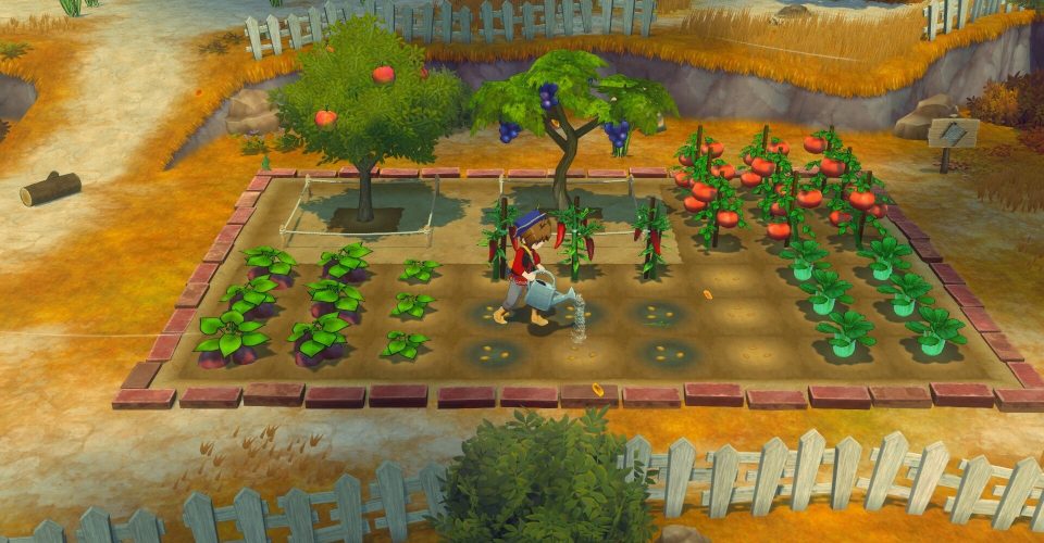 Ranch Story (video game series) come on！Windy Bazaar/STORY OF SEASONS: Grand Bazaar