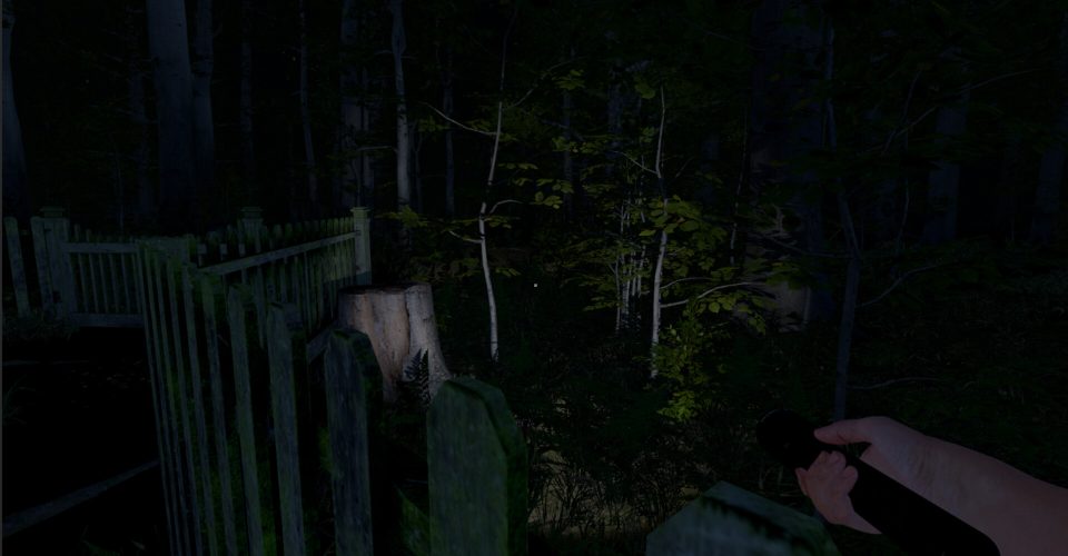 Gray Man：Human kidnapping/The Greys: Human Abductions