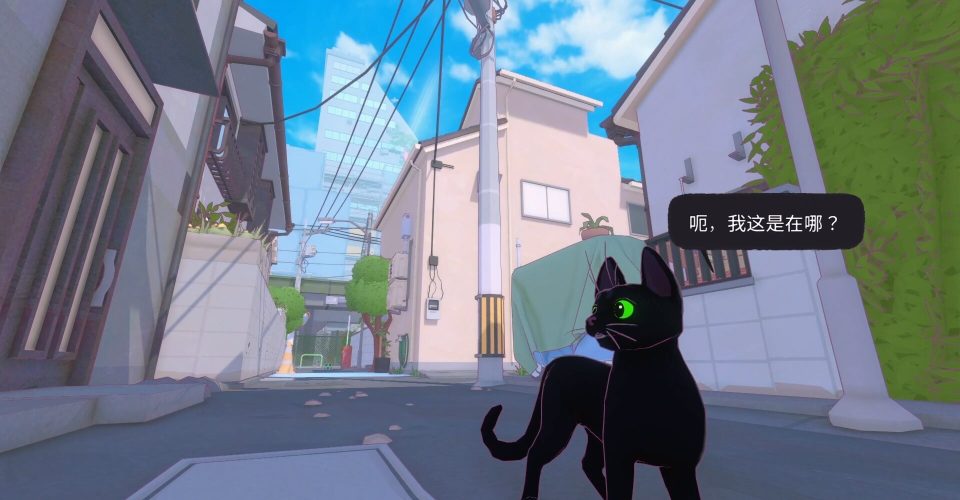 Kittens Big City/Little Kitty, Big City