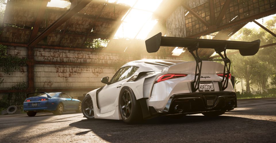 Extreme Racing：horizon5/Forza Horizon 5/Support network connection