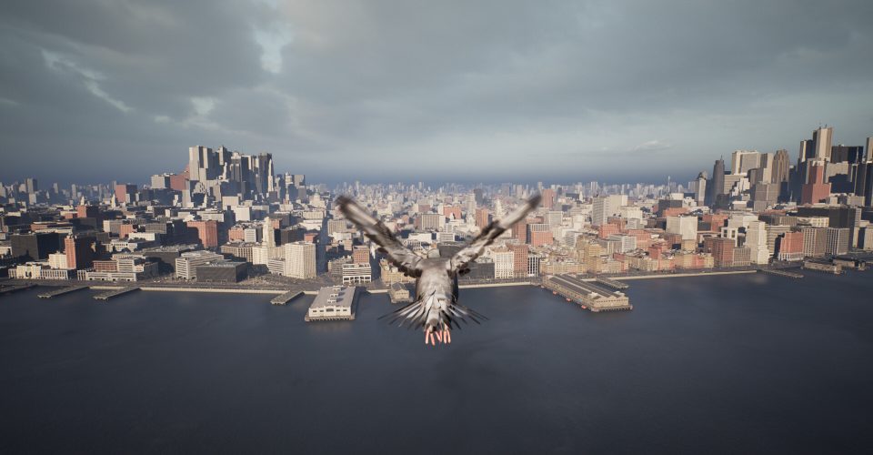 Pigeon Flight Simulator/Pigeon Flight Simulator