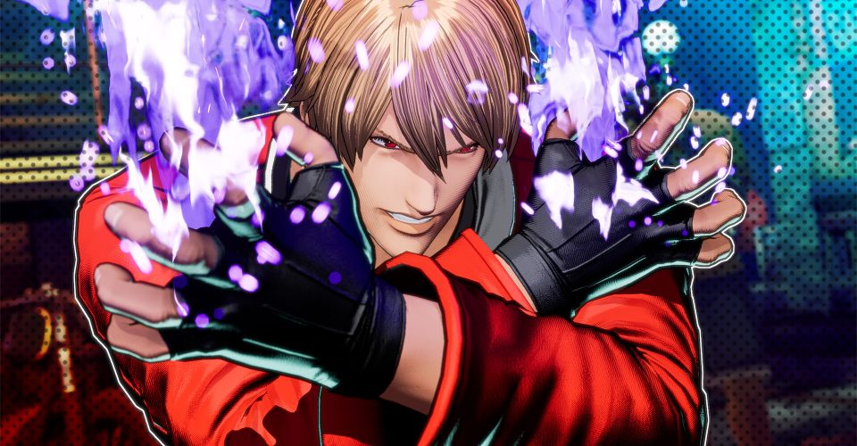 The Legend of the Starving Wolf：City of Wolves/FATAL FURY: City of the Wolves/Support network connection