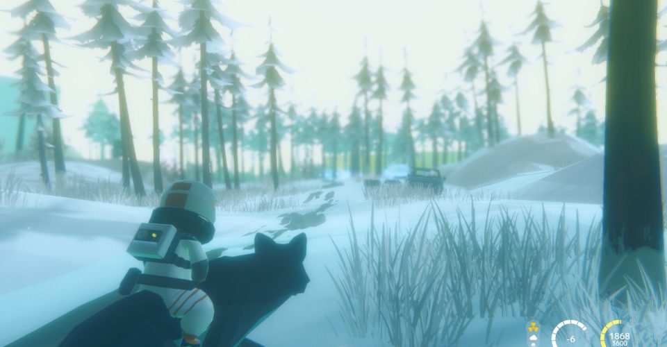 Antarctic Program/Nova Antarctica