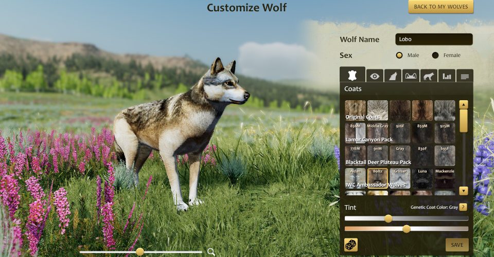 Riddle of the Coyote：Anniversary Edition/WolfQuest: Anniversary Edition