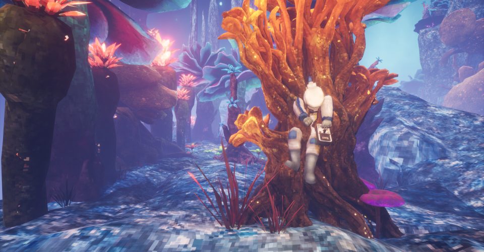 abiotic factor/Abiotic Factor/Support network connection