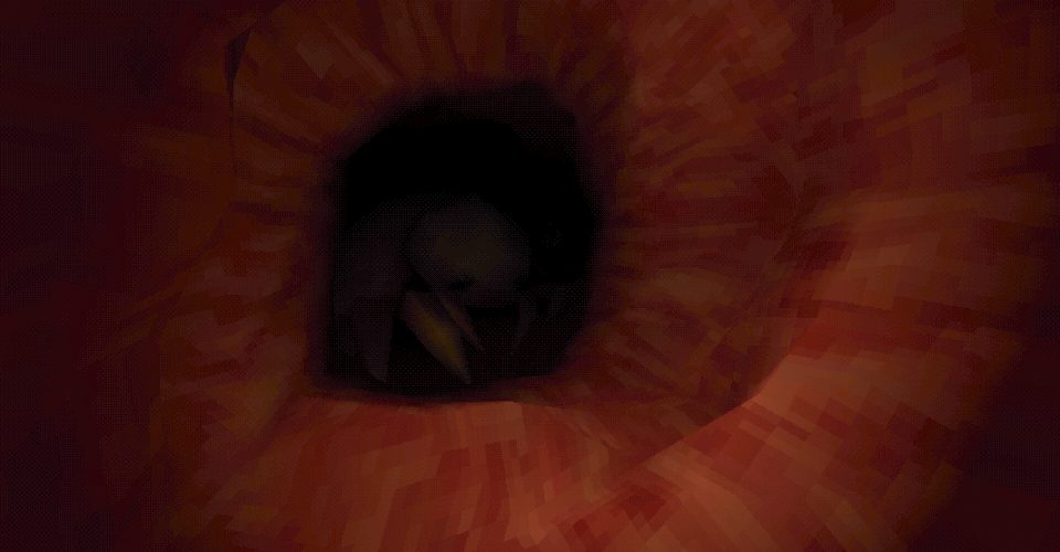 Revenge of the colon./Revenge Of The Colon