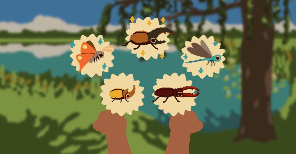 Tourmaline Park/Kabuto Park