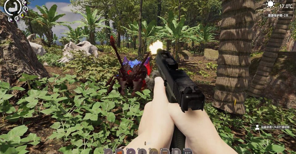 Notes from an isolated island/Island Notes