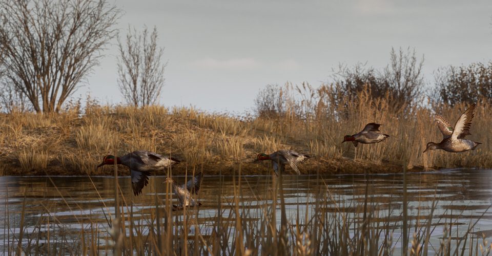 BULT：Hunting Simulator/BULT: Hunting simulator