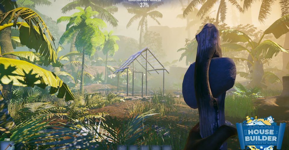 homebuilder/House Builder