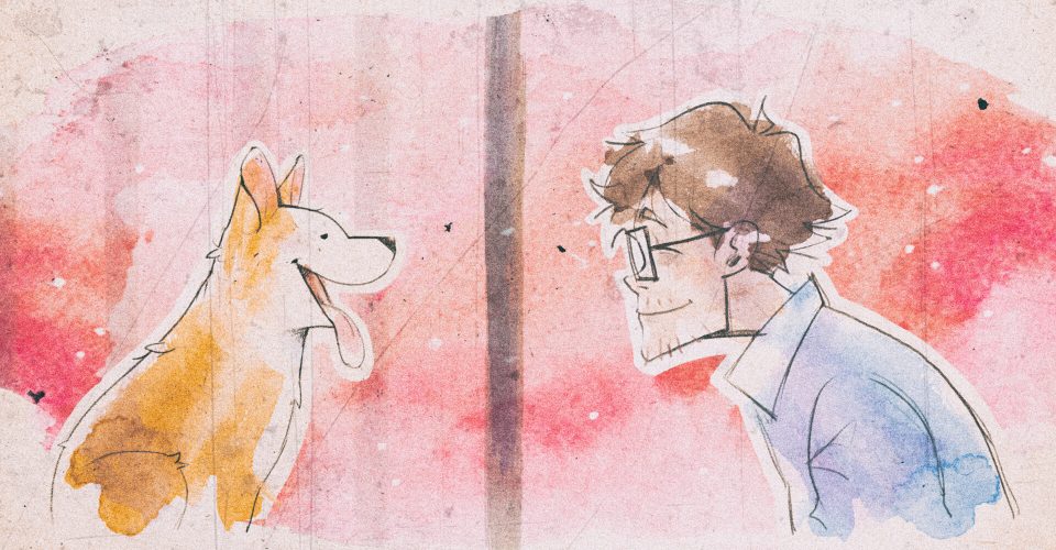 My little corgi./My Little Puppy