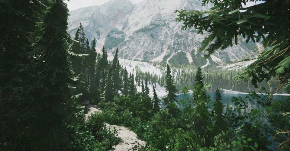 Analog Landscape Photography/Lushfoil Photography Sim