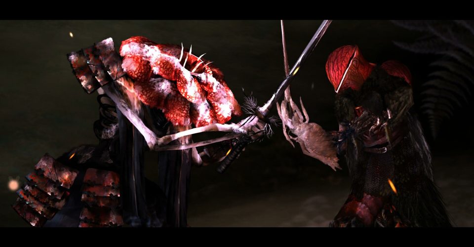 the permanent order/Perennial Order