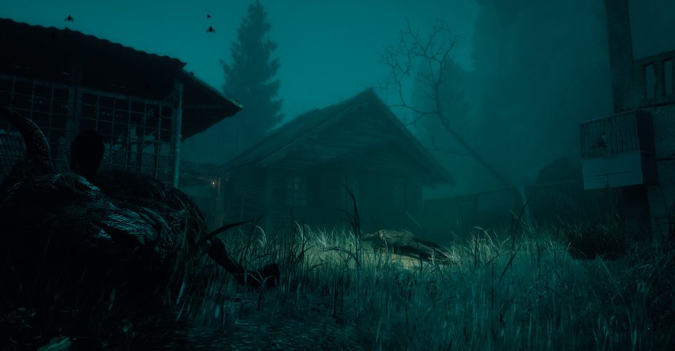 Strange Island Psychic/The Occultist