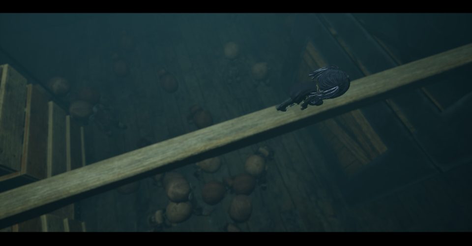 The dolls are back./Doll is Back