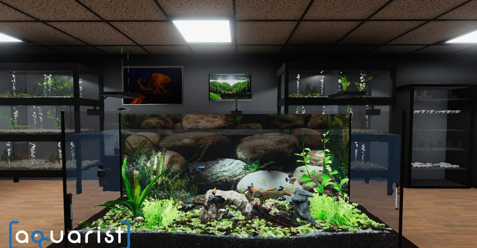 Aquarist – Construction of an aquarium，fish farming，Developing your business！