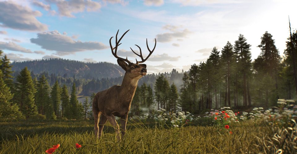 The Way of the Hunt2/Way of the Hunter 2